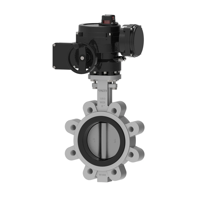 Electric Lug Concentric Gloria Valve
