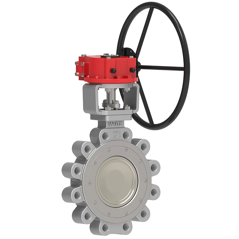 Lug Double Eccentric Papilio Valve