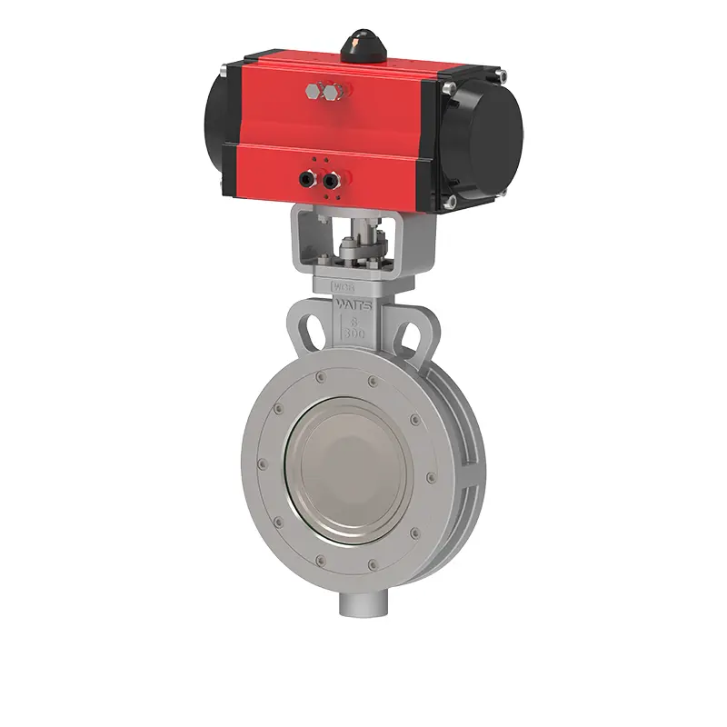 Pneumatic princeps perficientur papilionem valvae