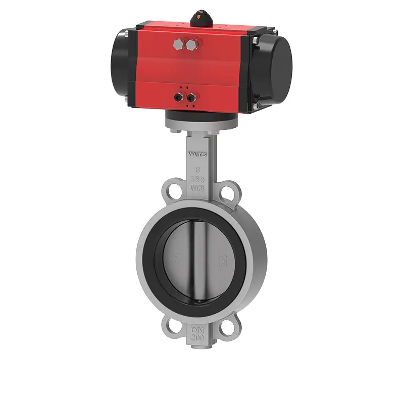 Pneumatic laganum mollis sedet papilio valvae