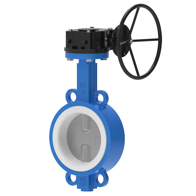 laganum PTFE eidem papilio Valve